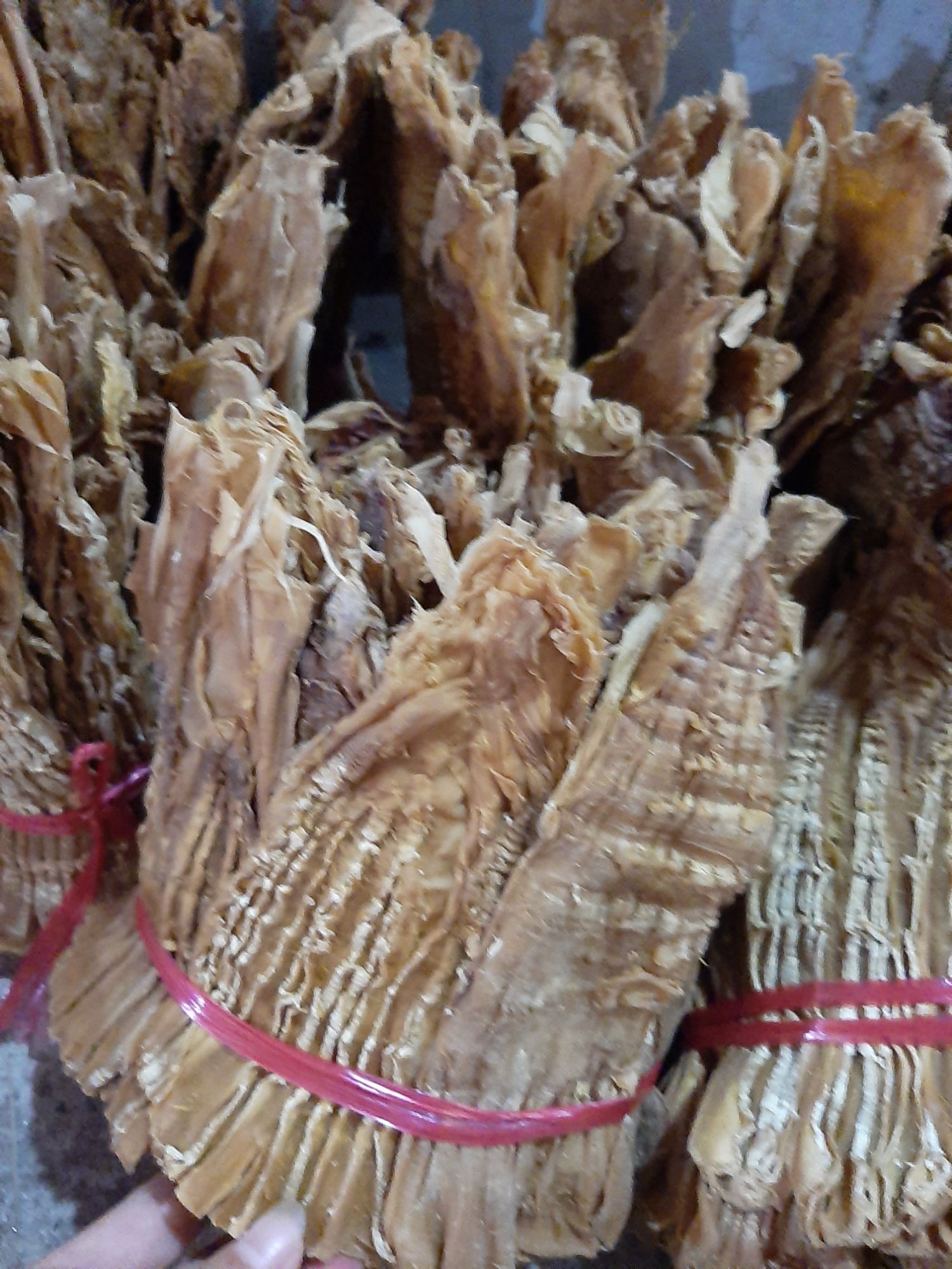 Măng khô Điện Biên 1kg