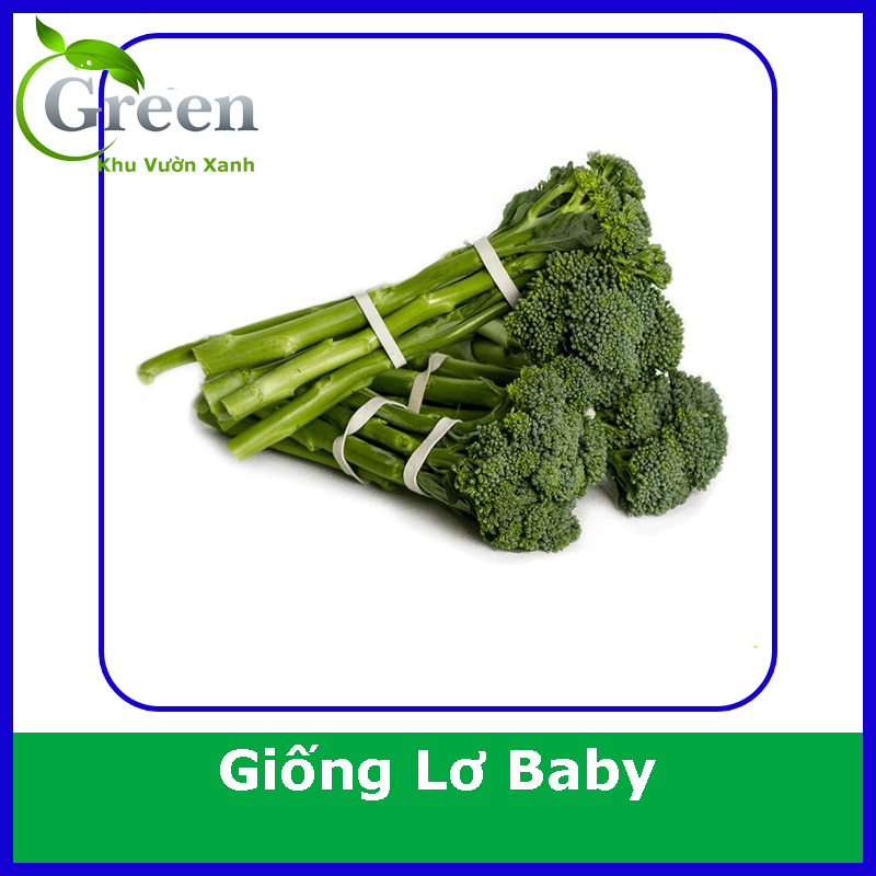 Hạt Giống Súp Lơ Baby Xanh Trồng Quanh Năm, Giàu Dinh Dưỡng
