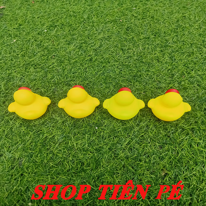 COMBO 4 CON VỊT GẮN PÔ E