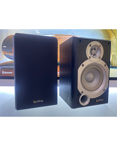Loa Bookshelf Infinity P143