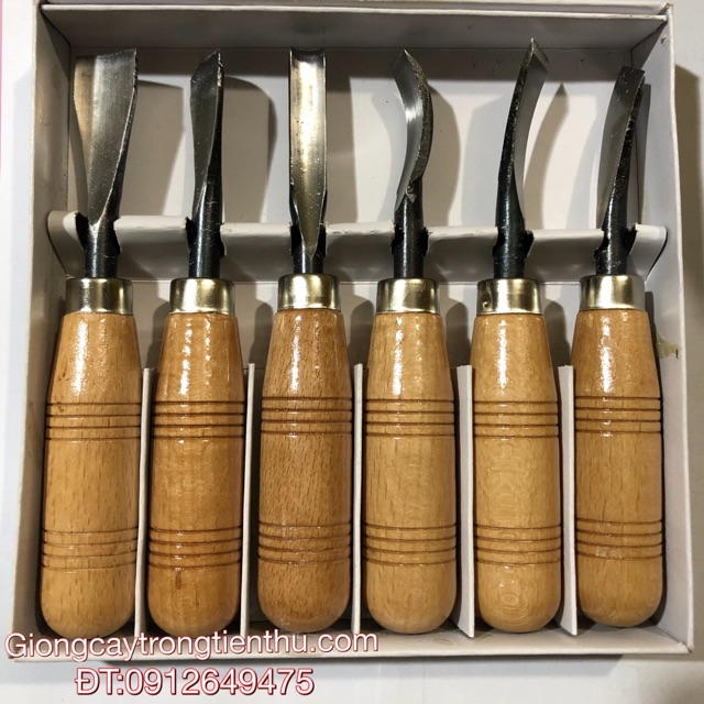 BỘ ĐỤC CÂY CẢNH,GỖ MỸ NGHỆ 6 MÓN