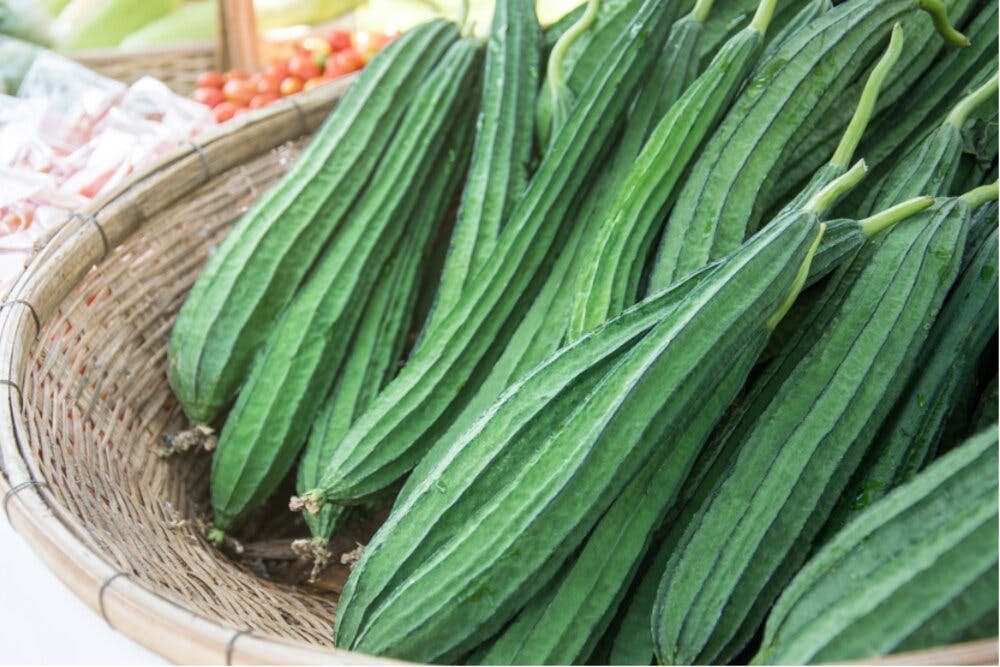 Hạt giống mướp khía Rạng Đông
