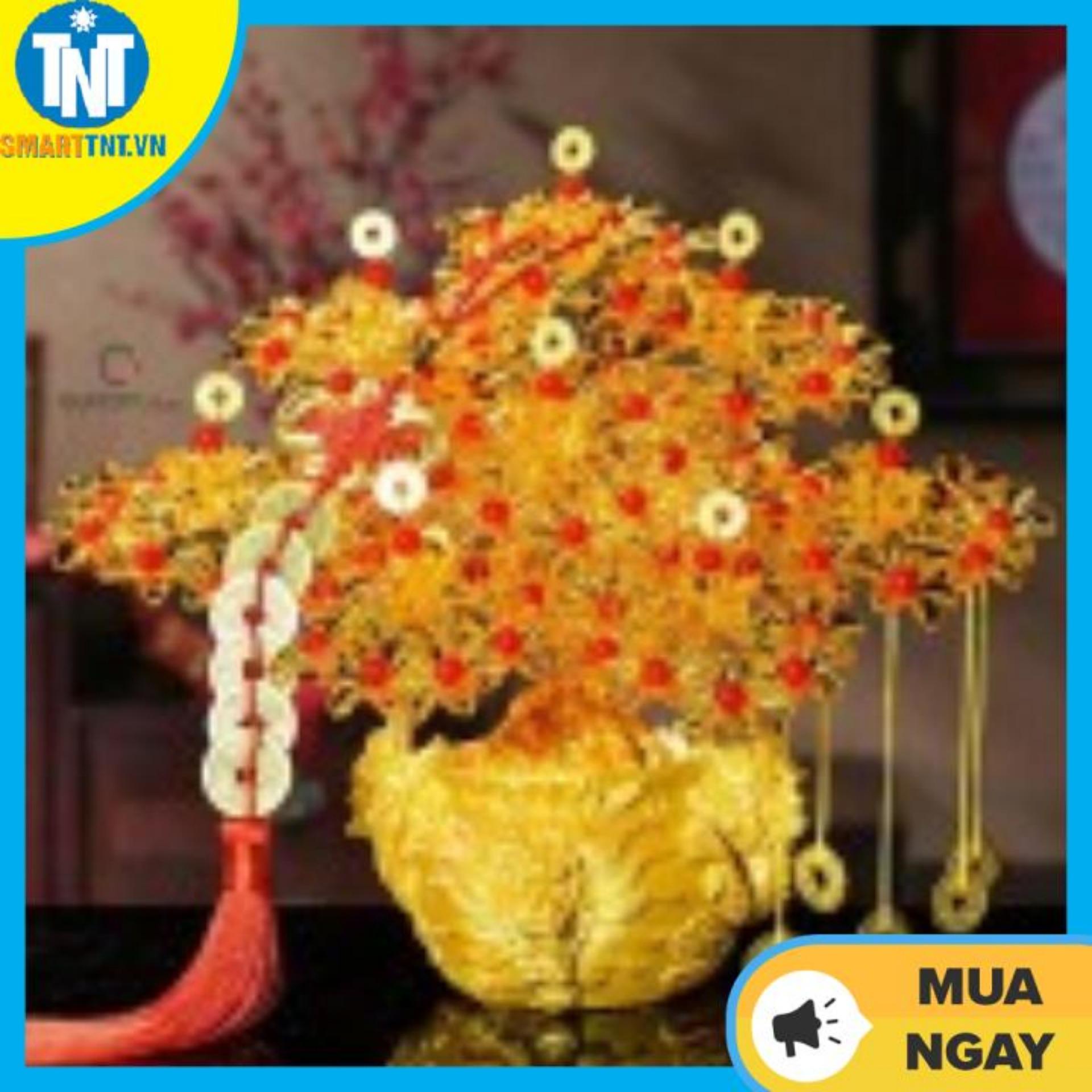 Cây kim tiền phát tài lộc đế đầu rồng 7 cành trang trí trong nhà ngày tết. Mang đến may mắn, tài lộc và không khí sang trọng cho không gian nhà bạn.,