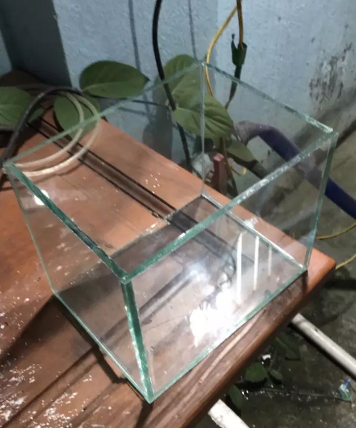 Bể cá mini phong thủy