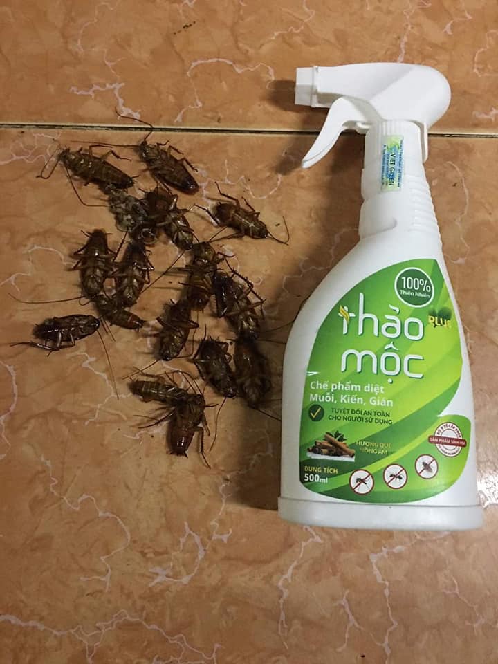 Thảo mộc Plus -  Diệt muỗi kiến gián Organic 500ml