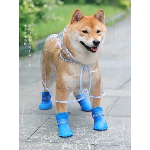 Giày ủng đi mưa cho chó mèo 🐶🐱