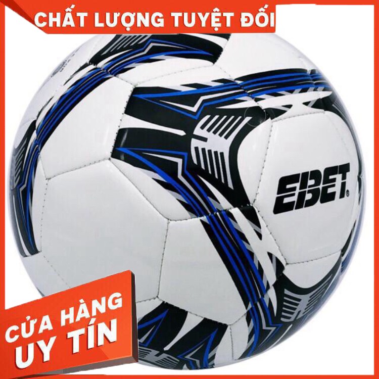 Quả bóng đá Động Lực may số 5 (nhiều màu)