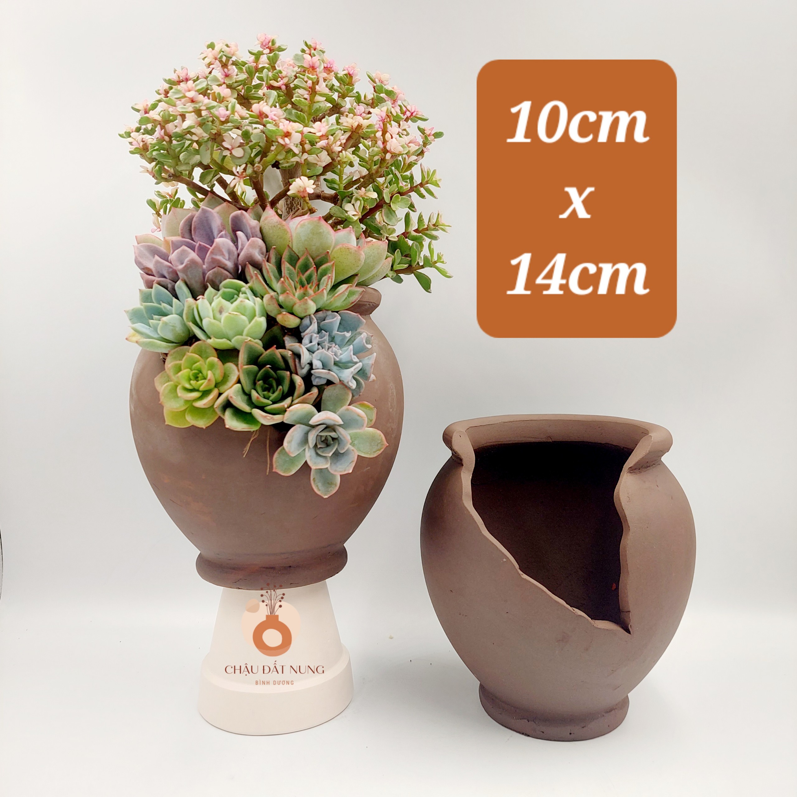 Chậu đất nung - Bình hoa 825, miệng chậu 8cm, chiều cao 25cm