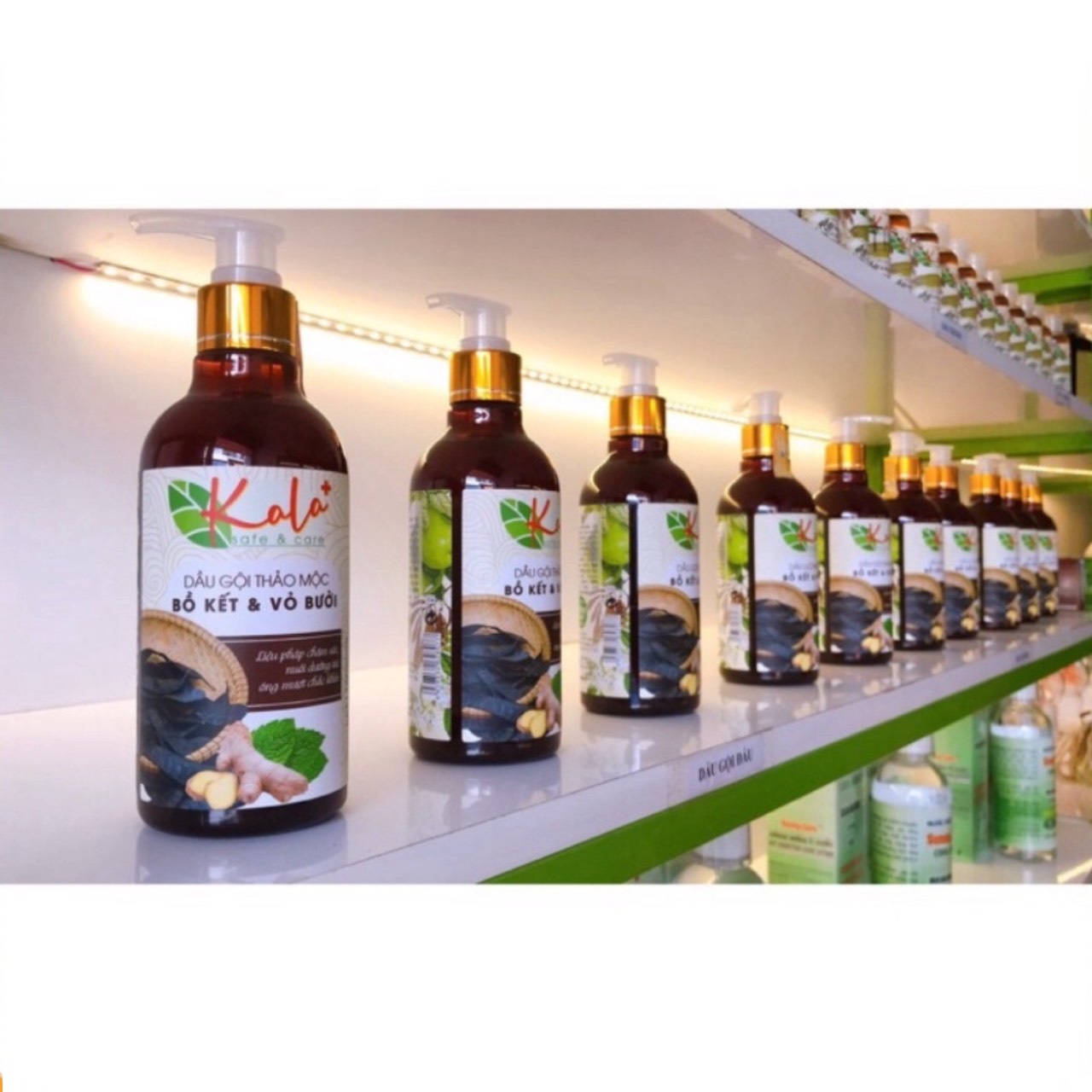 Dầu gội thảo mộc Kala chính hãng