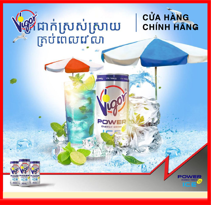 [ HÀNG CÔNG TY NHẬP KHẨU ] Nước Tăng Lực Vigor 250ml