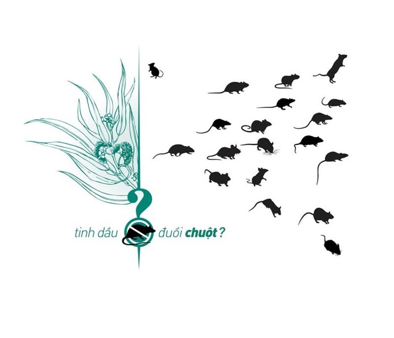 Tinh Dầu Đuổi Chuột Asa 350ml