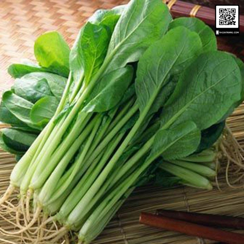 Deal 1K - Gói 100 hạt giống rau cải ngọt cọng xanh - Dự án Tập làm vườn cùng Tạ Gia Trang