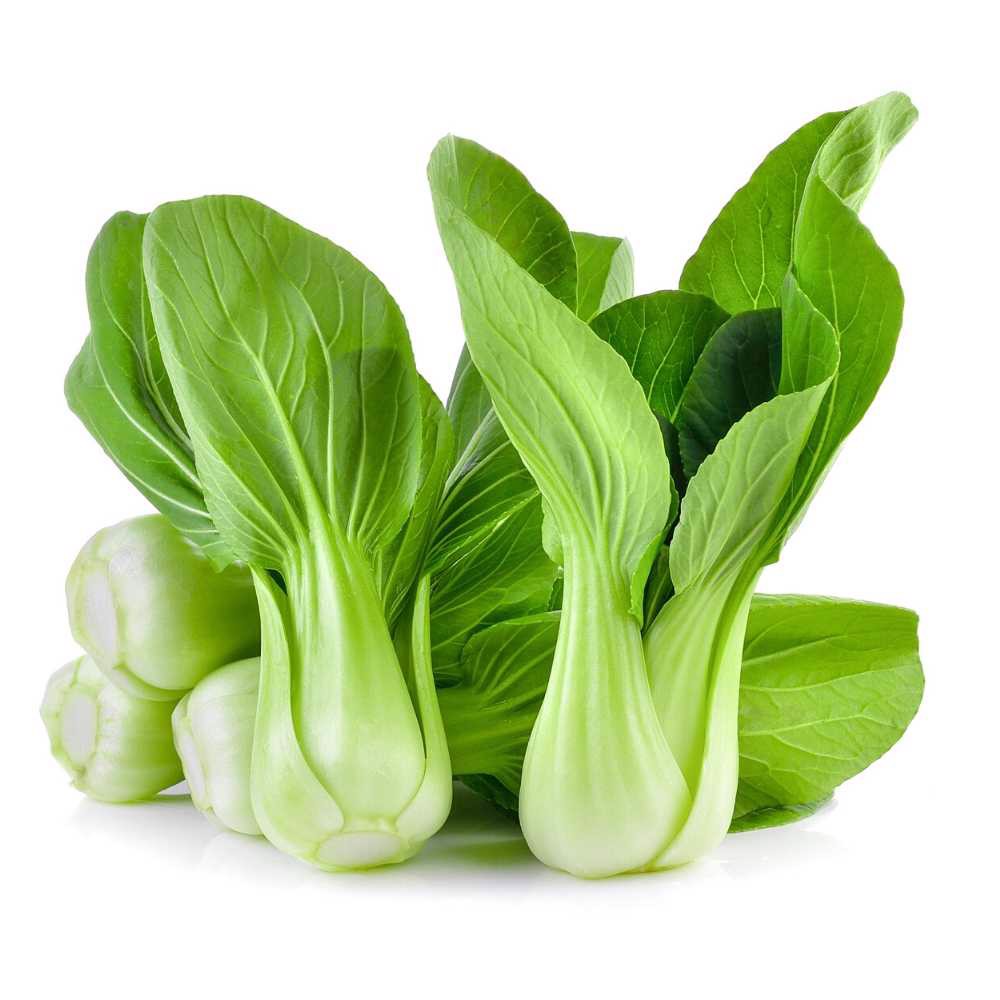 Hạt giống cải thìa Rạng Đông