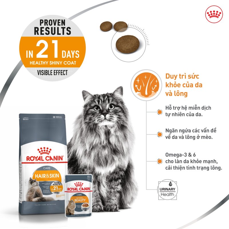 thức ăn hạt ROYAL CANIN HAIR & SKIN – CHĂM SÓC DA VÀ LÔNG dành cho mèo (bịch 2kg)