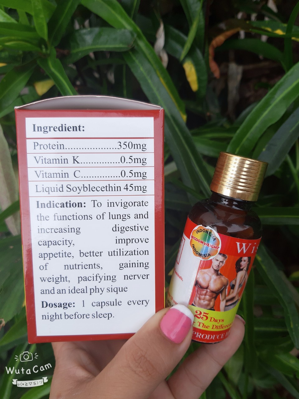 Tăng Cân Wisdom Indo Hộp 25 viên [ chuẩn ]