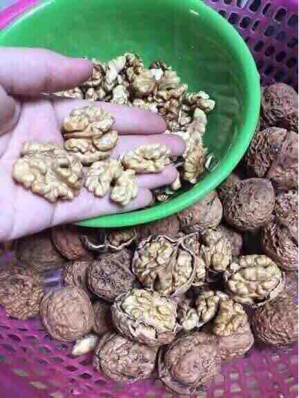 1 kg quả óc chó nếp