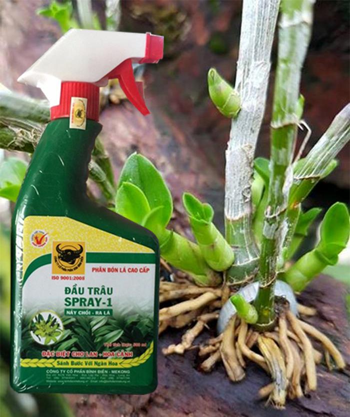 Phân đầu trâu kích nảy chồi ra lá Spay-1 chai 500 ml dạng xịt