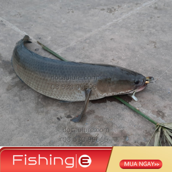 LƯỠI JIGHEAD THÉP AR15 MÓC MỒI MÊM 5g & 8g