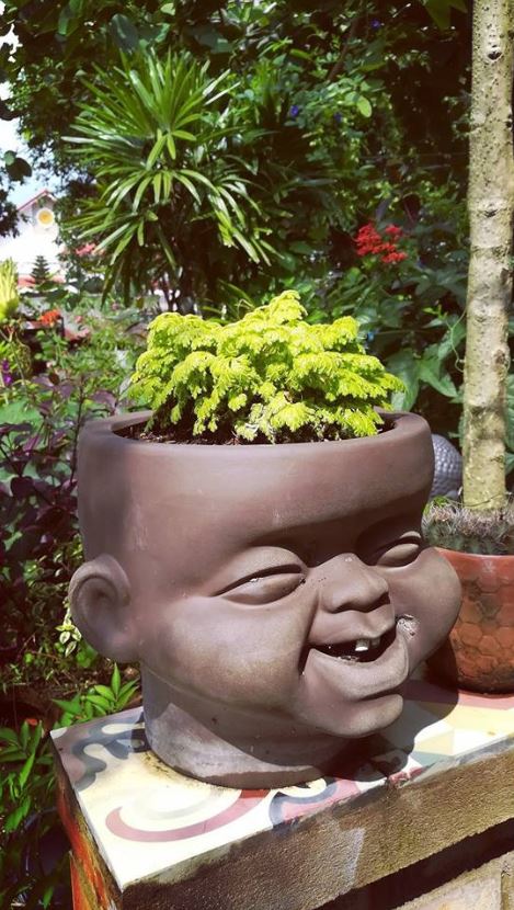 [HCM]CHẬU ĐẤT NUNG TÍ SÚN (LỚN)