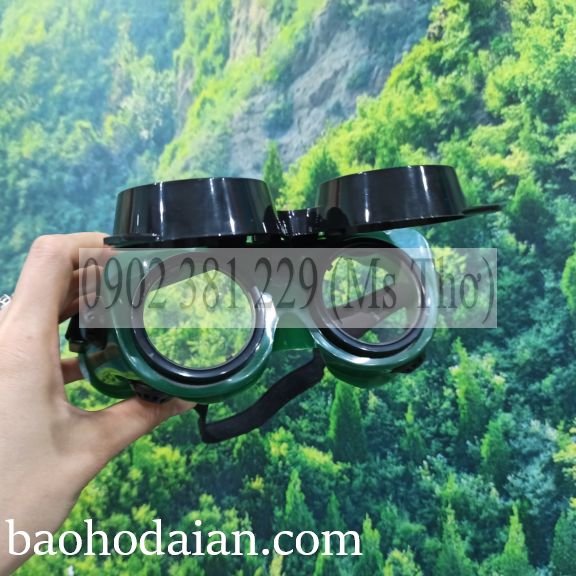 Kính hàn hơi 2 tròng Blue Eagle GW250