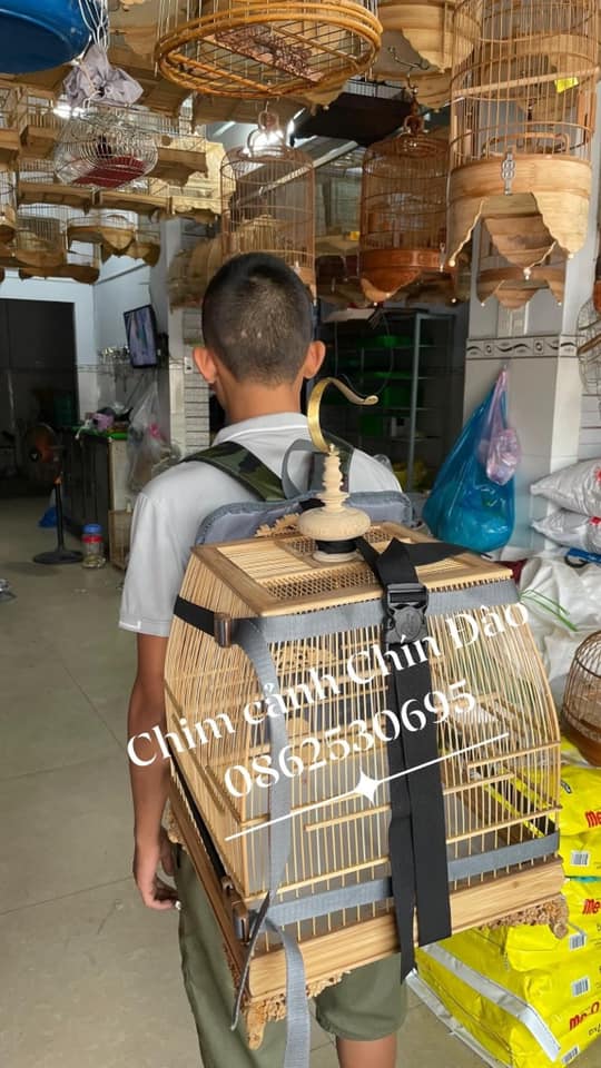 Ba lô đeo lồng chim - Phụ kiện chim cảnh cao cấp