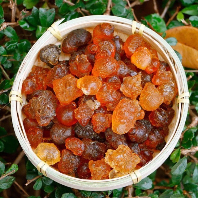 Nhựa đào [ 100g ]