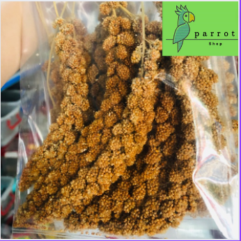KÊ CHÙM CHO CHIM,VẸT, YẾN PHỤNG (100g)