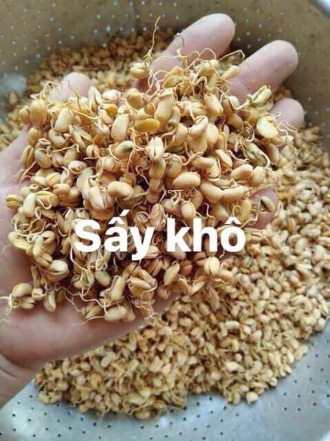 BỘT MẦM ĐẬU NÀNH TUỆ MINH