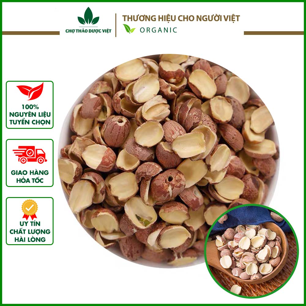 Liên nhục 500g, hạt sen nam nguyên vỏ, sạch, đẹp - Chợ Thảo Dược Việt