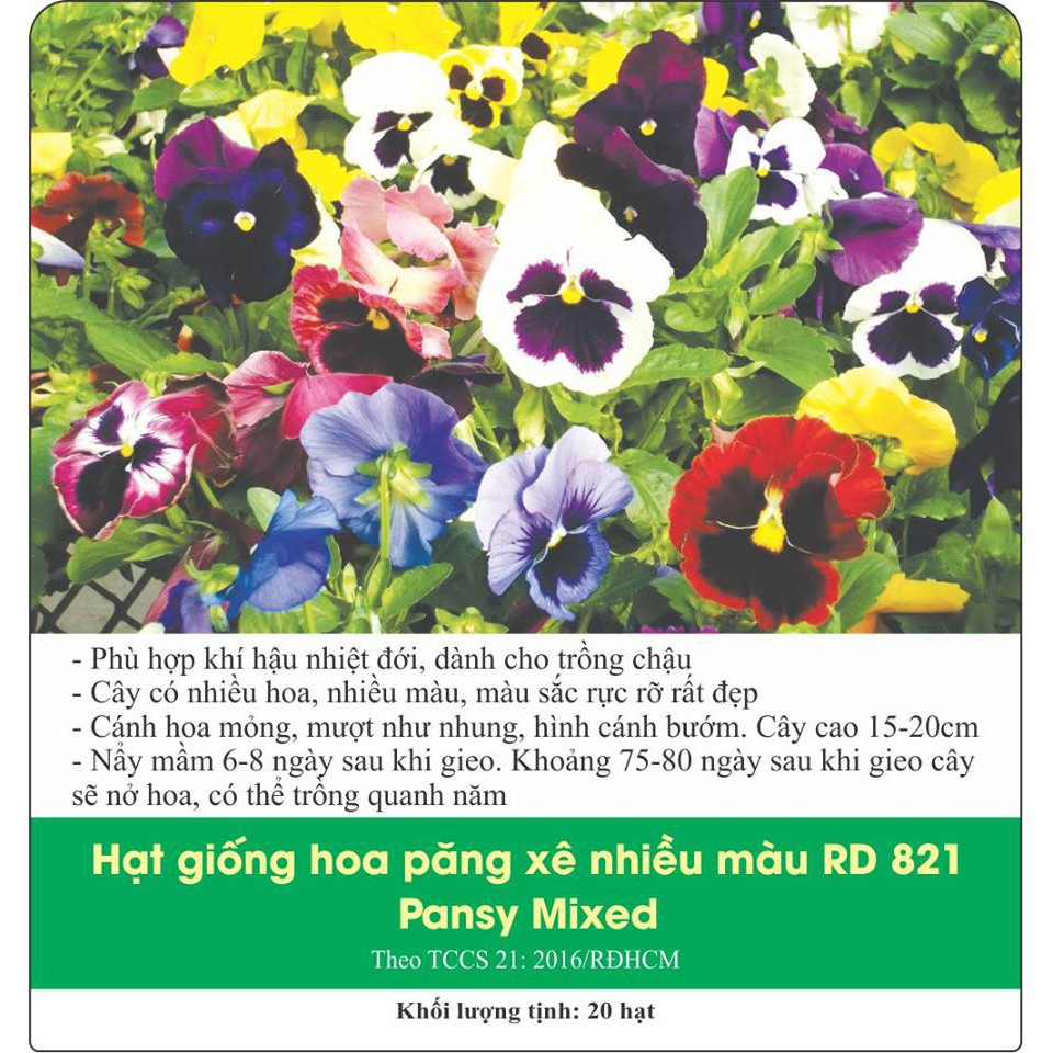 Hoa păng xê nhiều màu RD (0.03g)
