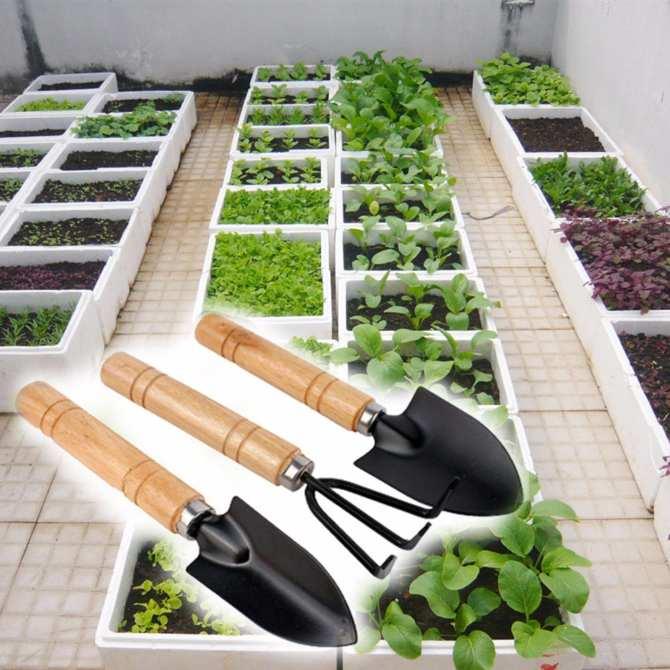 [HCM]Bộ 3 Dụng Cụ Làm Vườn