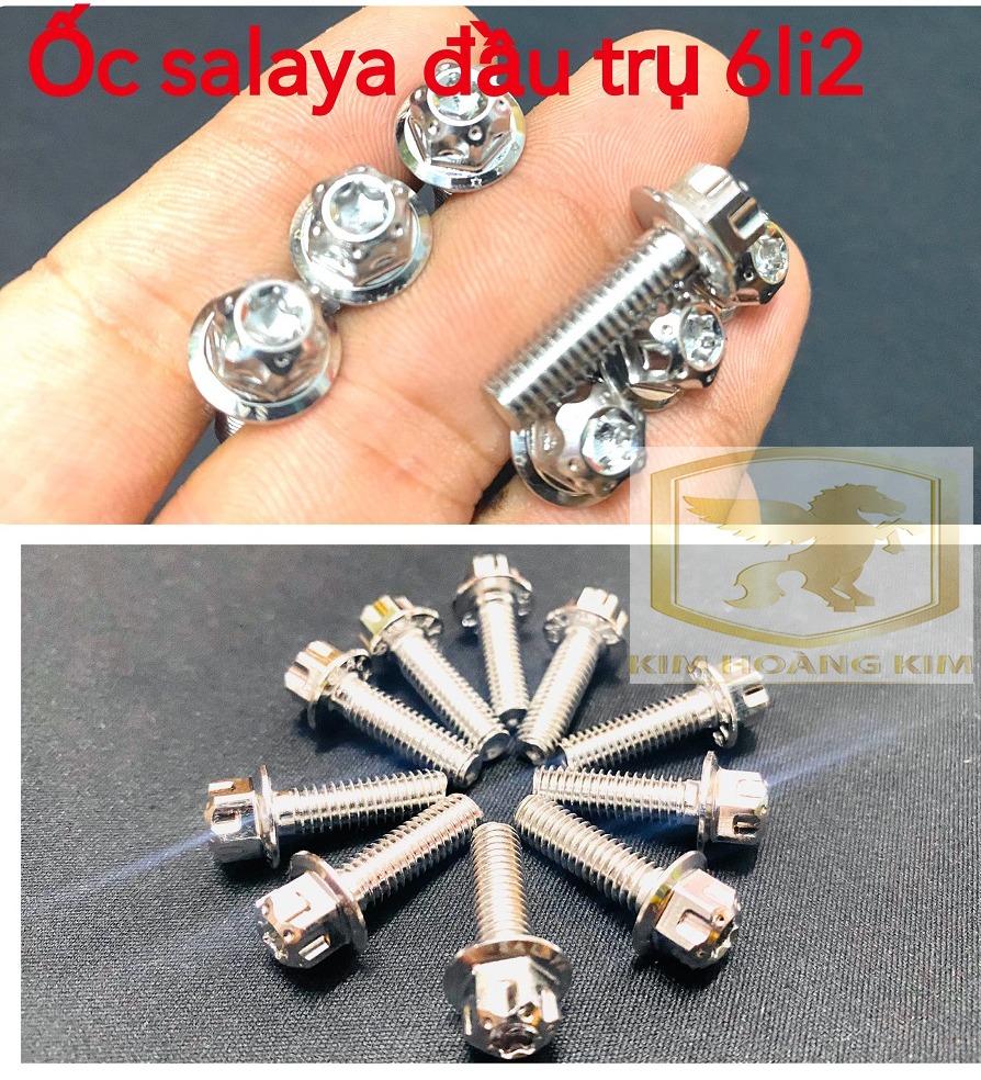 Salaya 10 ốc Inox đầu Trụ 6li2 gắn dán áo Xe máy Wave,Dream,Sirius,Exciter,Winner....