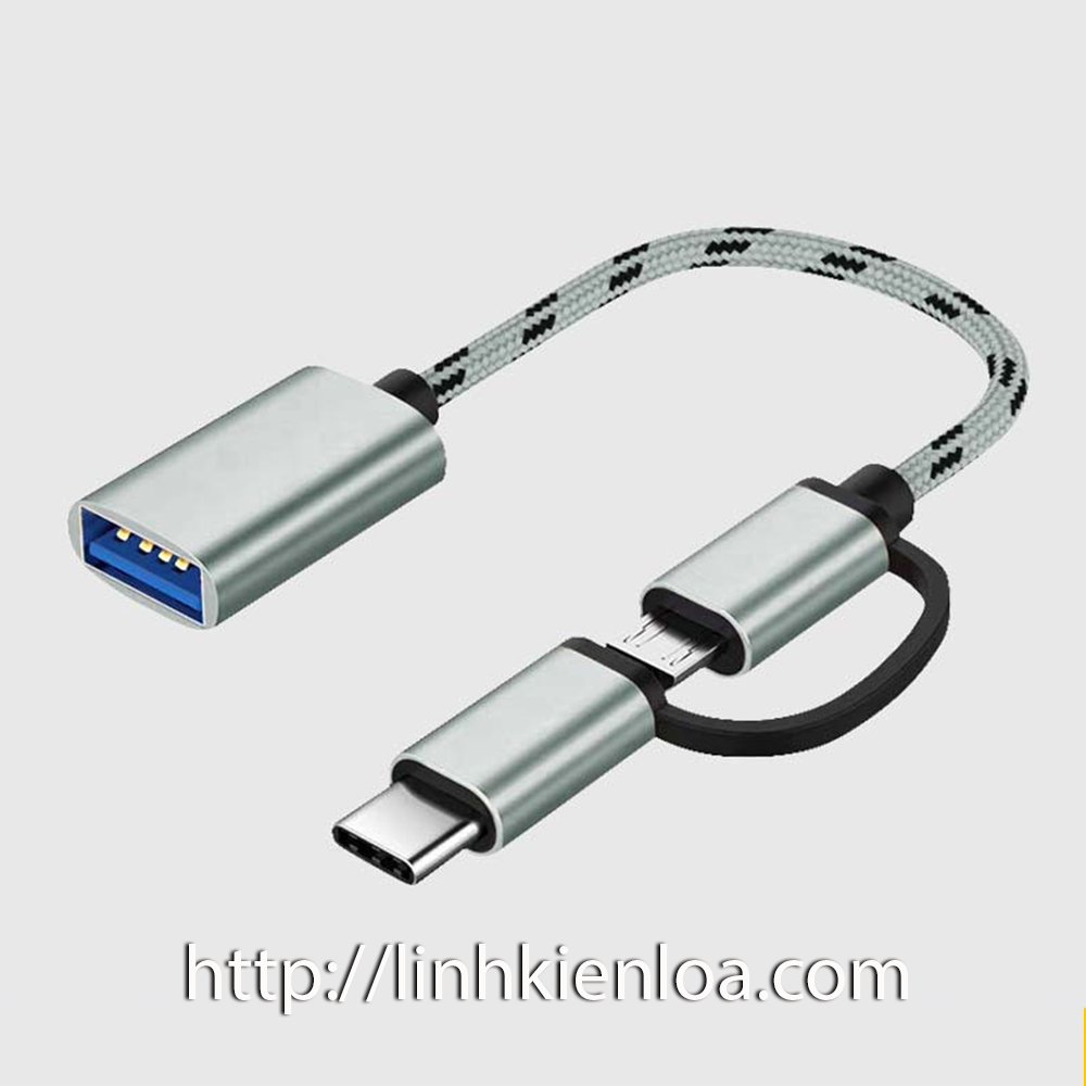 Cable OTG-shipping from USB port type-c + Micro USB to USB 3.0