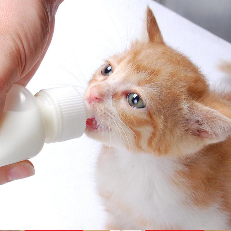 Bình ti sữa dành cho chó mèo con Pet Bottles 60ml và 150ml