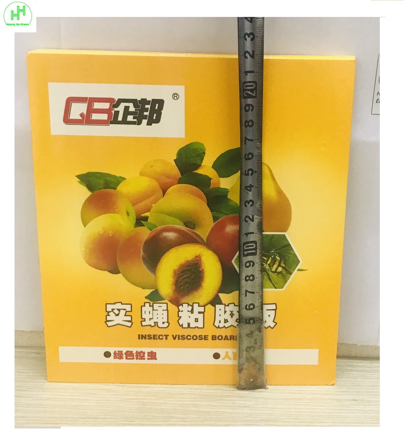 5 Miếng Dính Bẫy Côn Trùng , Bẫy Ruồi Vàng 22x40cm