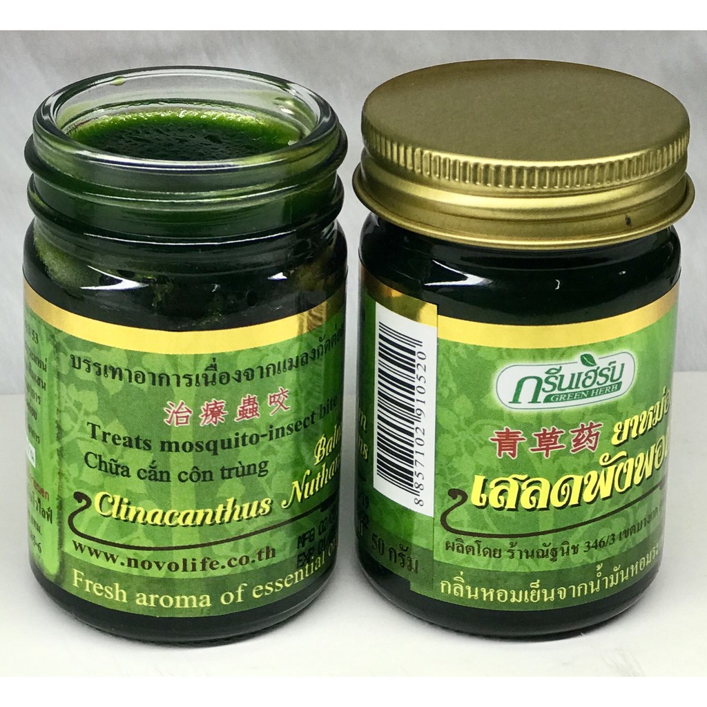 01 Hủ Dầu Cù Là Thơm Clinacanthus Nuthans