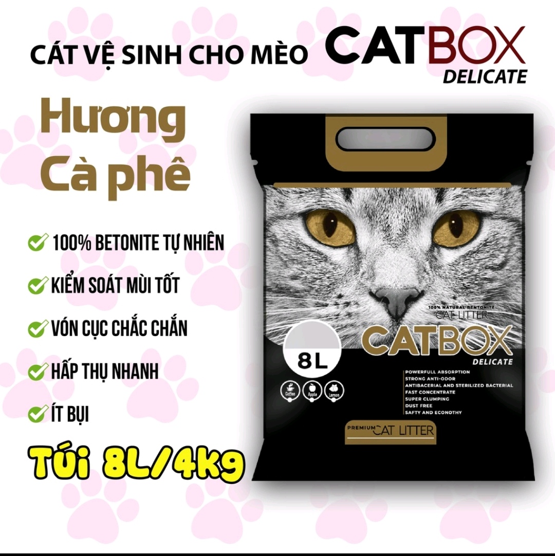 Cát vệ sinh cho mèo 8L 16L CATBOX