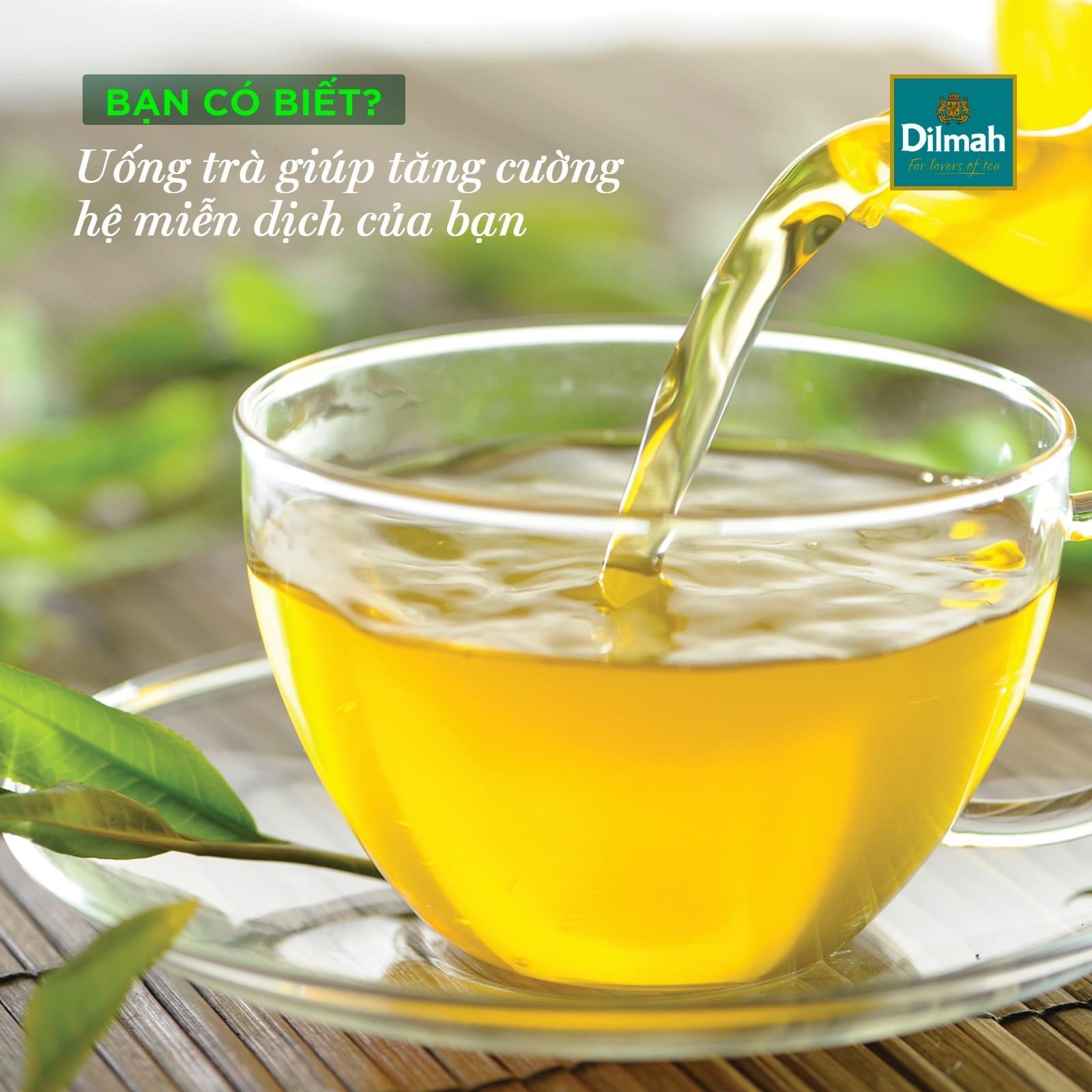 Trà Xanh Dilmah Vị Xoài - Mango 30g (mới)