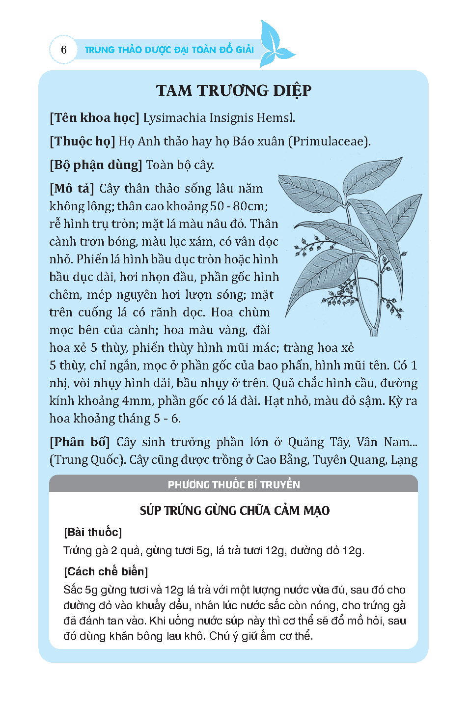 Trung thảo dược đại toàn (đồ giải)