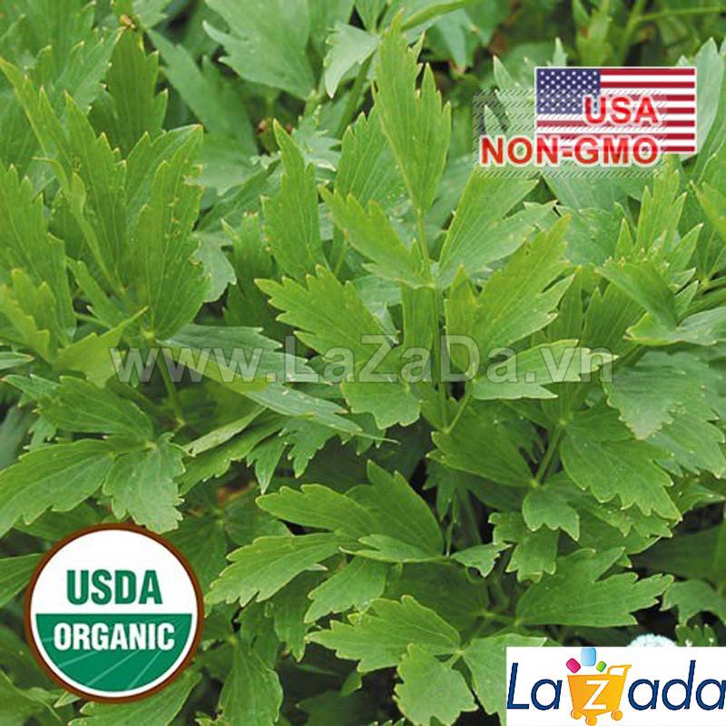 [HCM]BỘ 5GÓI 50h Hạt Giống Cần Núi Lovage (B3.204| C26*X42)