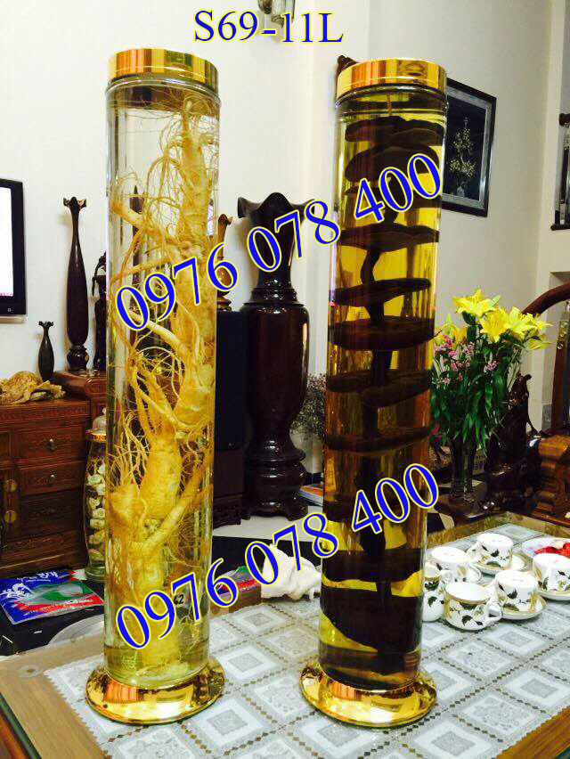 Bình Ngâm Rượu Hàn Quốc 11 Lít (Bình Trụ)