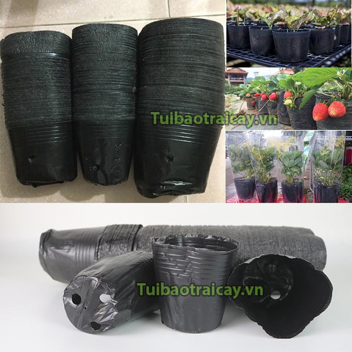 1 kg chậu ươm cây kích thước 13x12