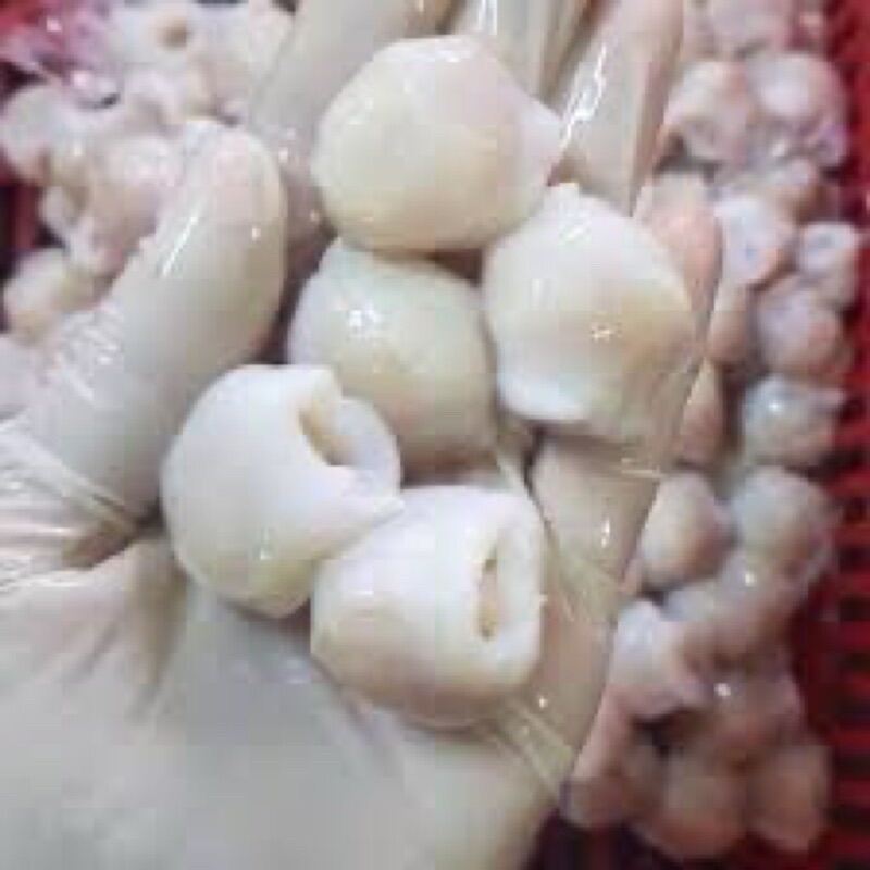 Răng mực cồ mực bự 500gr