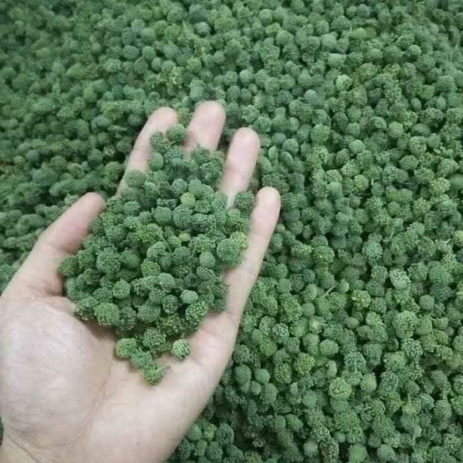 1kg nụ tam thất