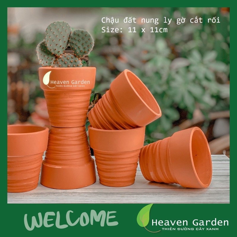 chậu đất nung ly gờ cắt rối - chậu trồng cây mini