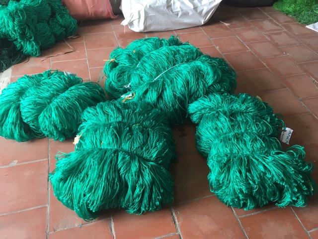 Lưới leo giàn 5x6m , sợi to, ô 20x20cm
