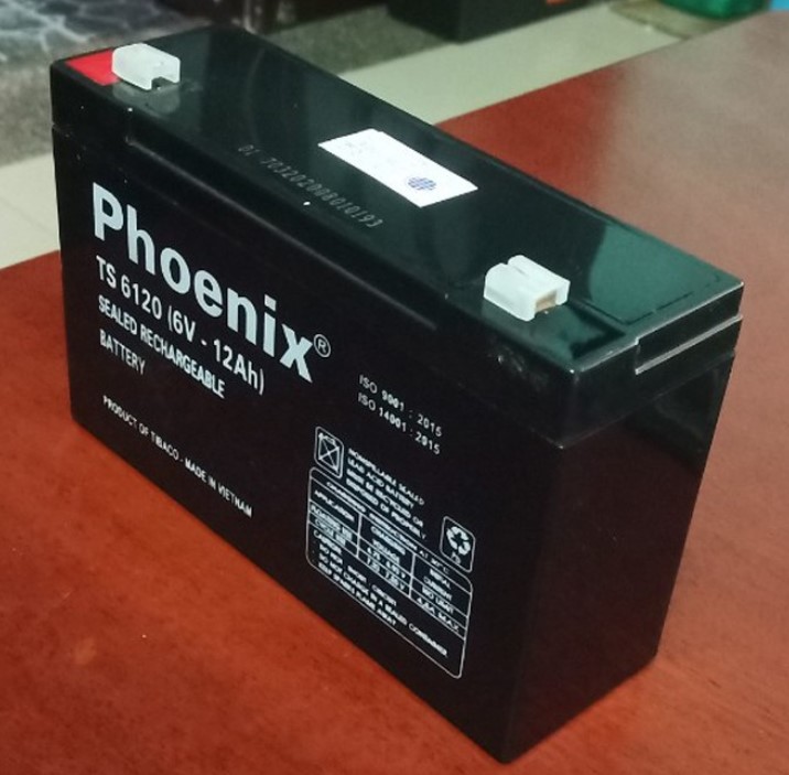 Ắc quy lưu điện Phoenix 6V - 12Ah TS6120