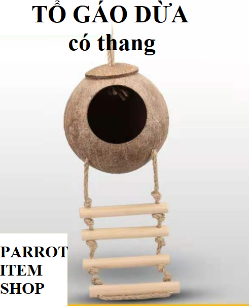 TỔ GÁO DỬA CHO CHIM, VẸT