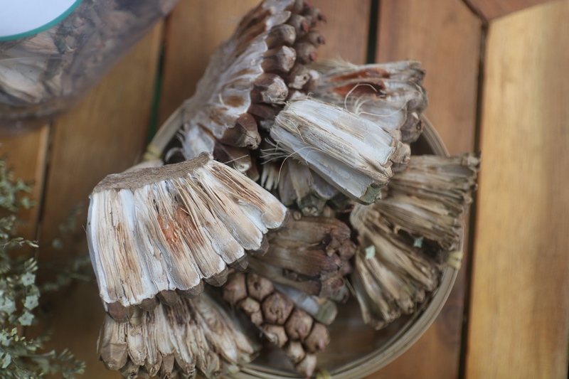 1kg dứa rừng khô ngâm rượu ngon