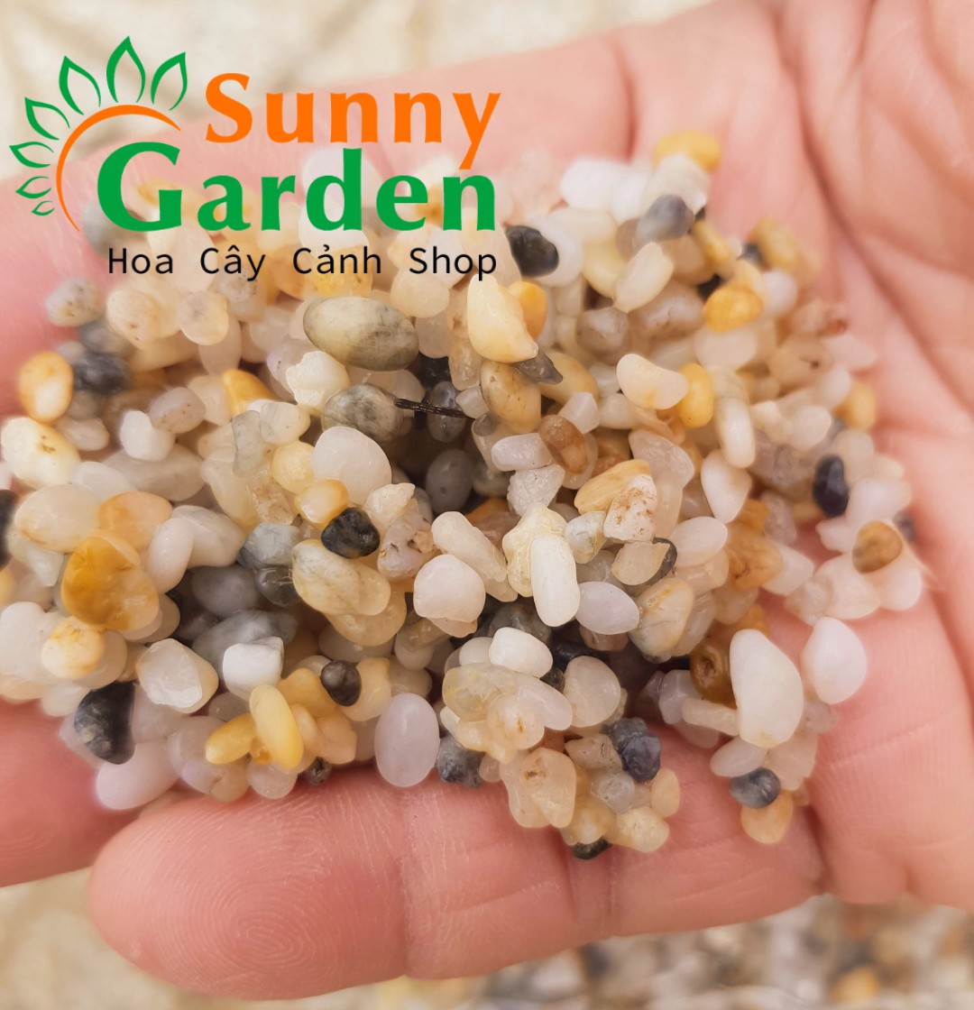 Combo 5kg Sỏi Suối Hồ Cá - Phụ Kiện Hồ Cá
